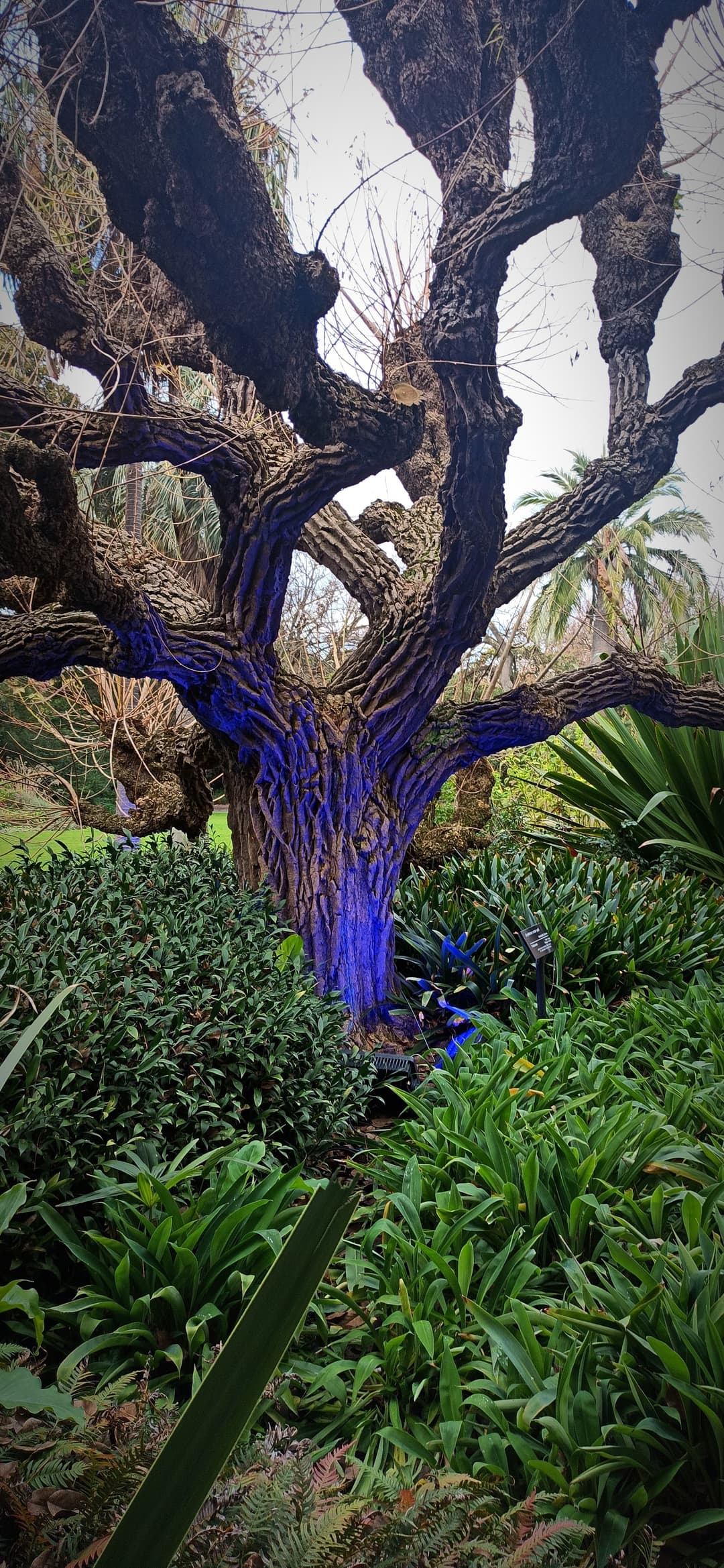 Exploration Image 22